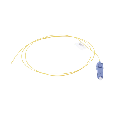 FP1B-SCUL-01 1 FP1B-SCUL-01