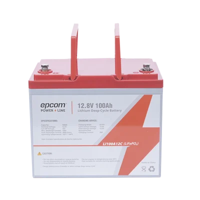 LI100A12C 1 LI100A12C